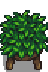 Junimo Table