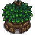 Small Junimo Hut